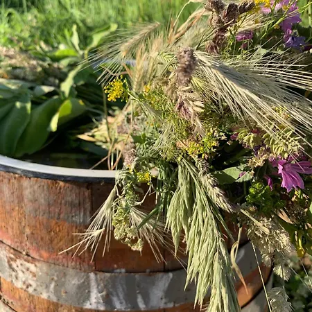 Glamping Domik Tokaj